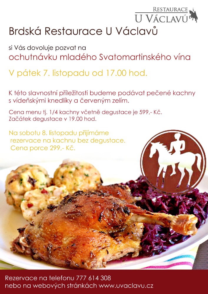 Svatomartinské